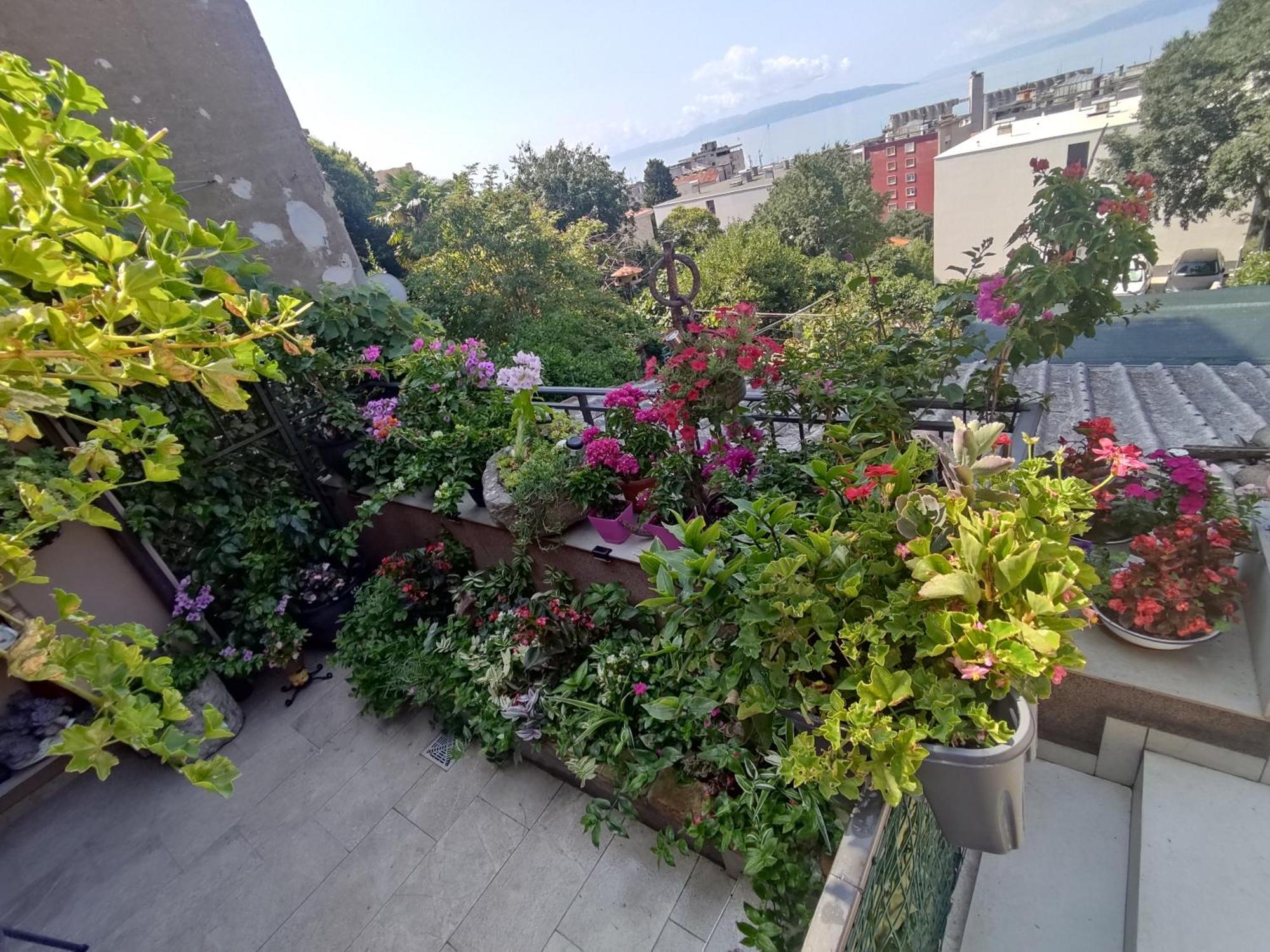 Апартаменты Apartman Bella Vista Риека Экстерьер фото
